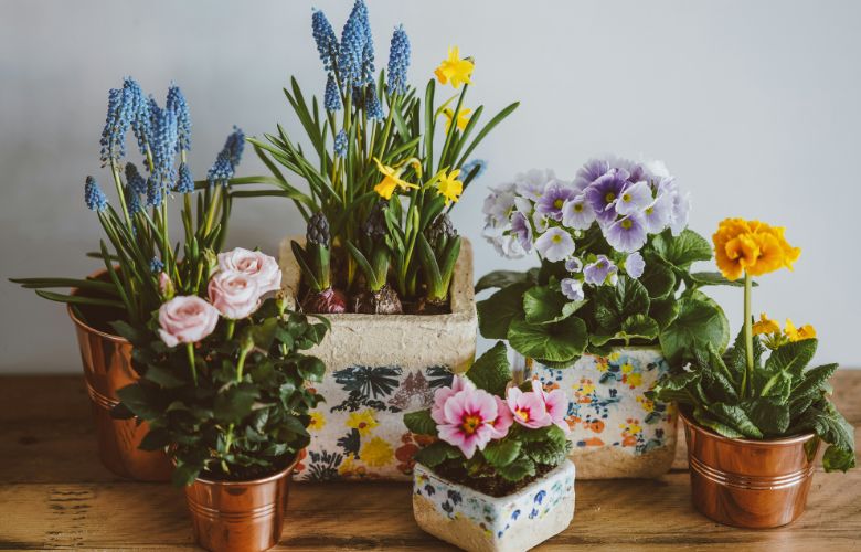 flores em vaso